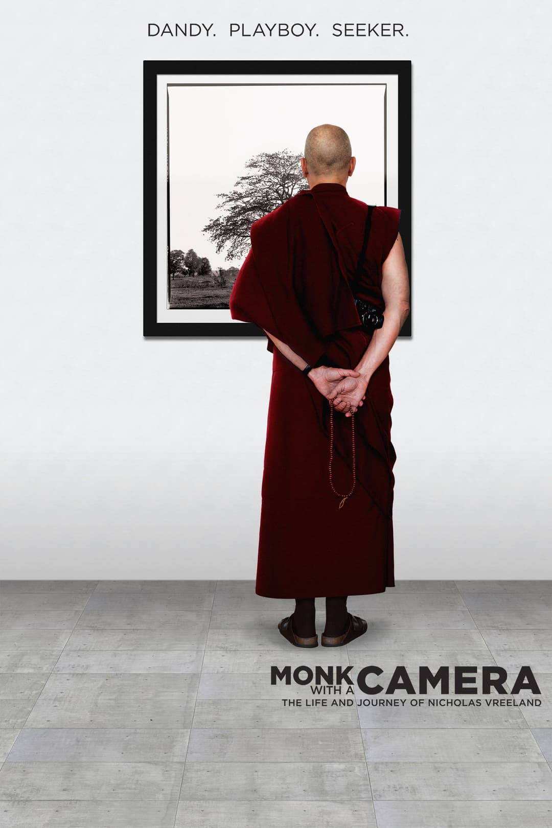 Poster di Monk with a Camera
