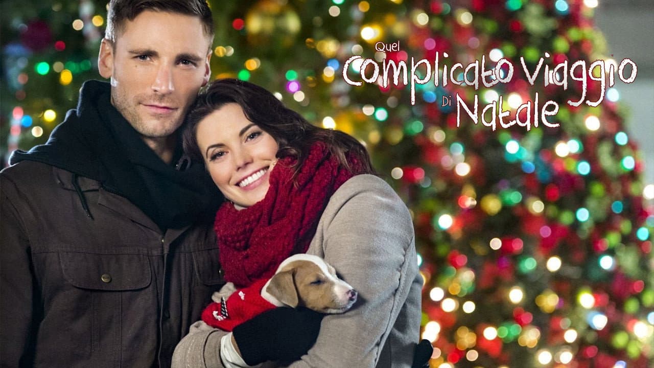 Quel complicato viaggio di Natale - immagine