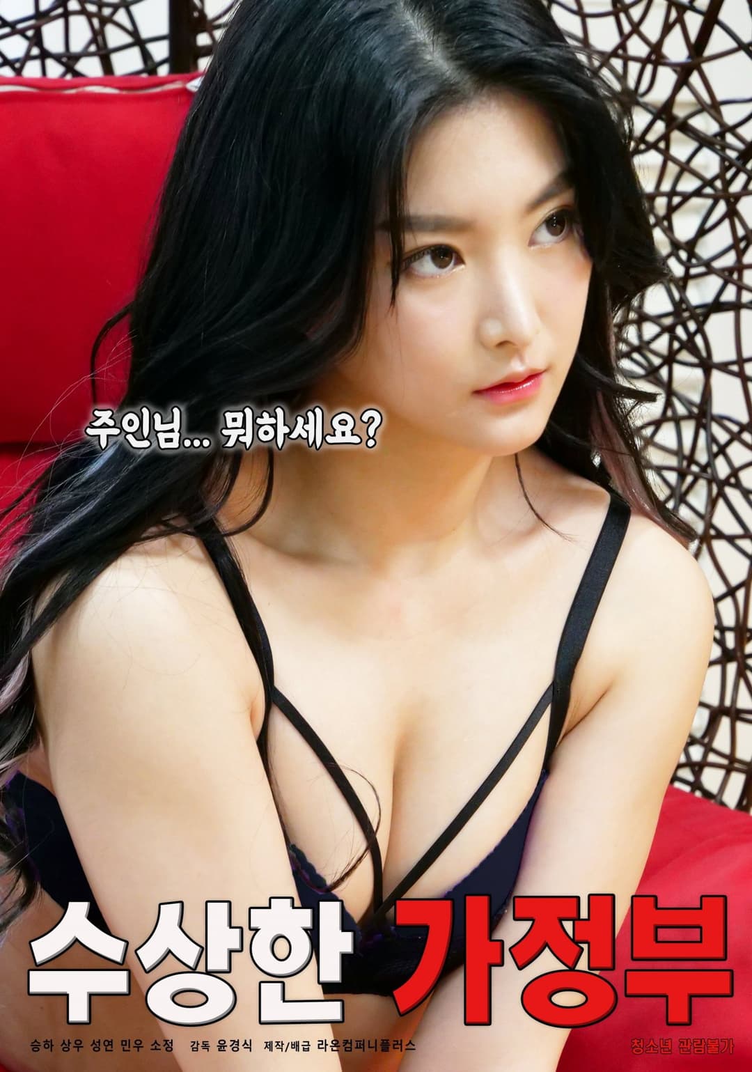 Poster di 수상한 가정부