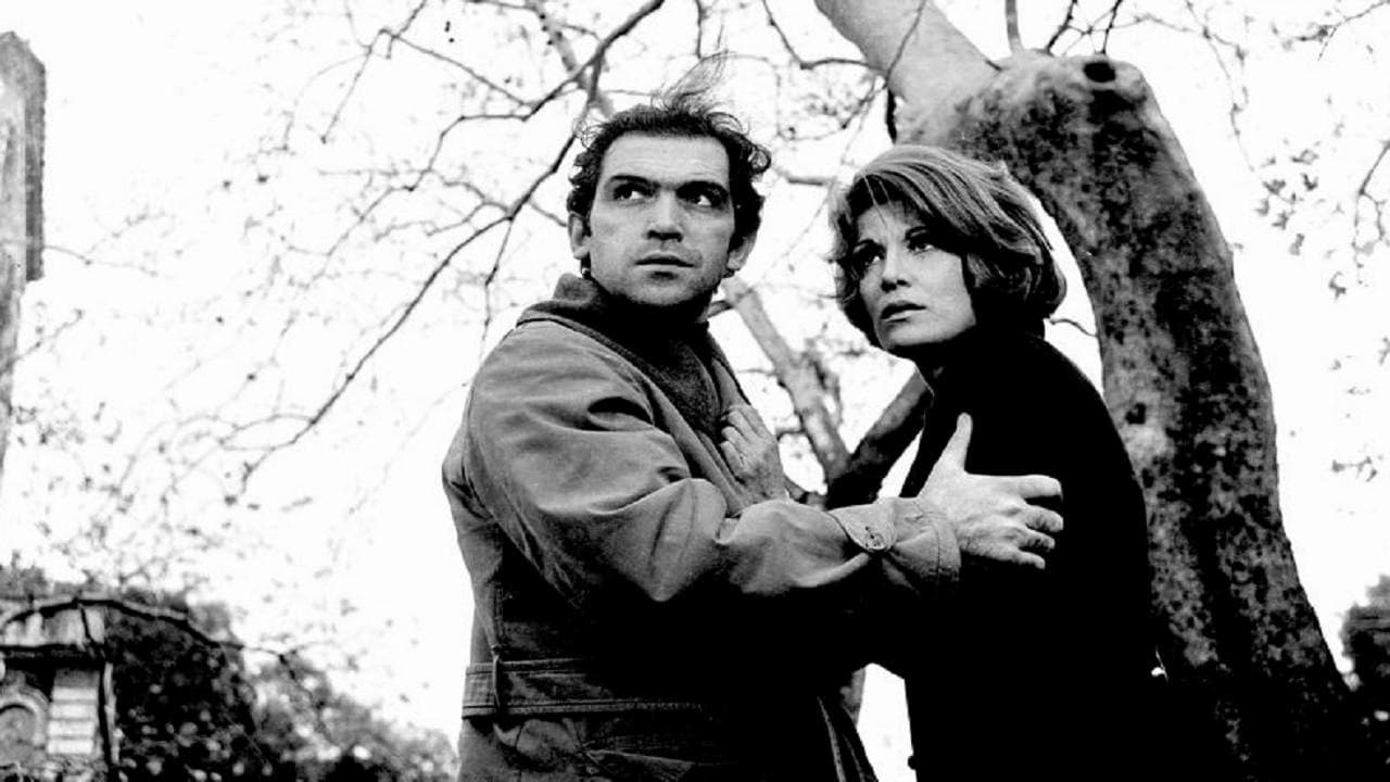 Εν ονόματι του νόμου - immagine