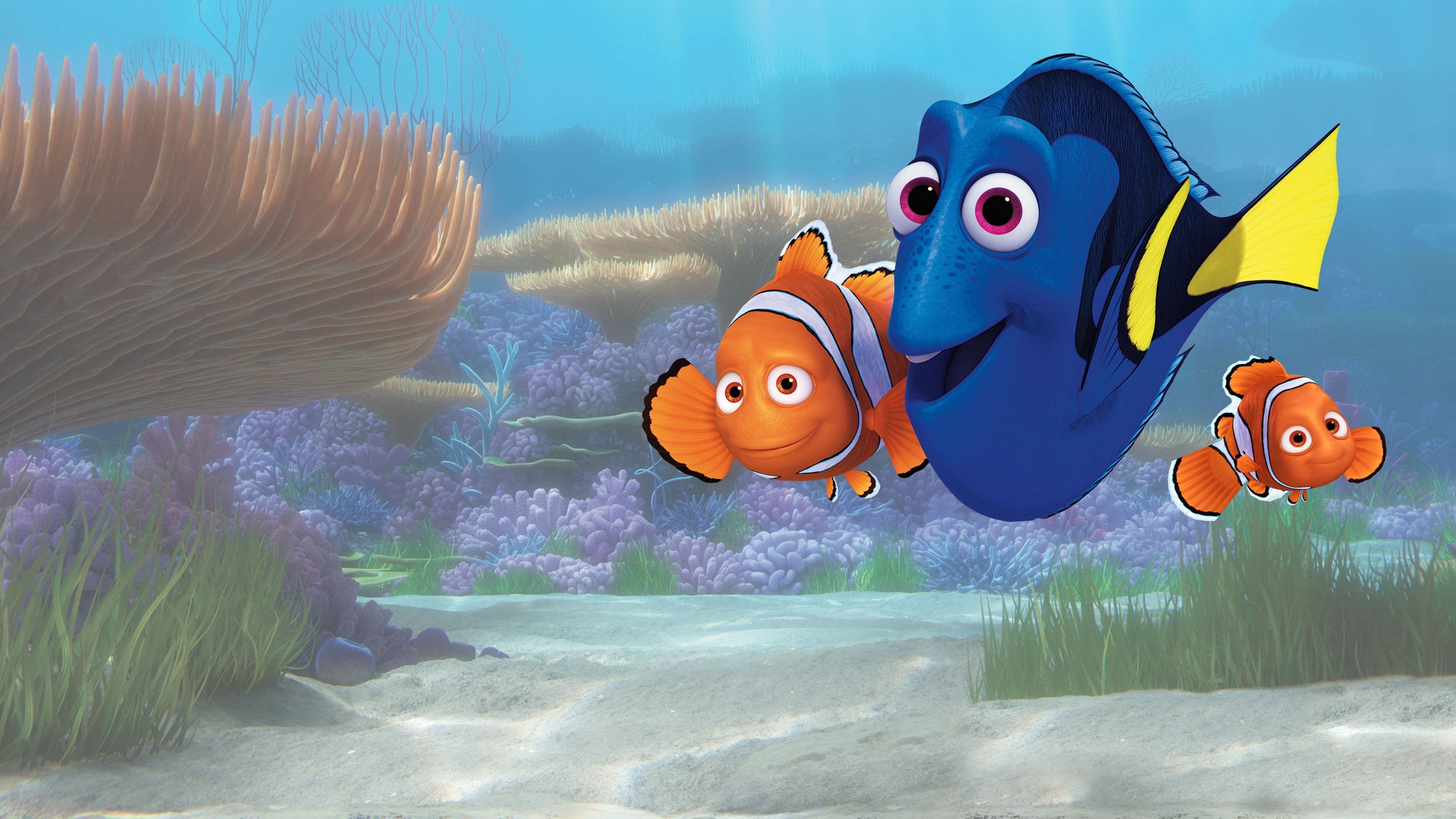 Alla ricerca di Dory - immagine