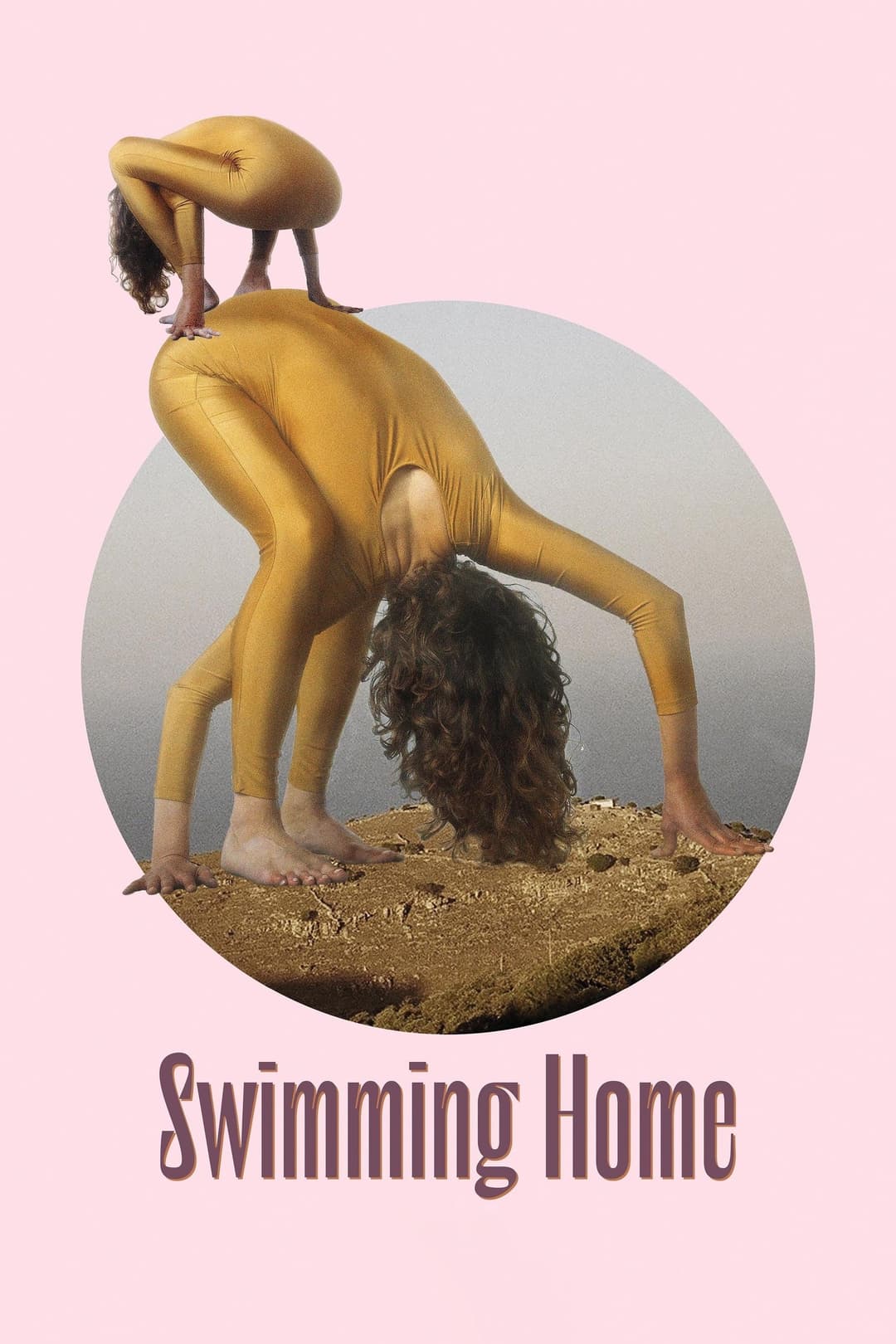 Poster di Swimming Home