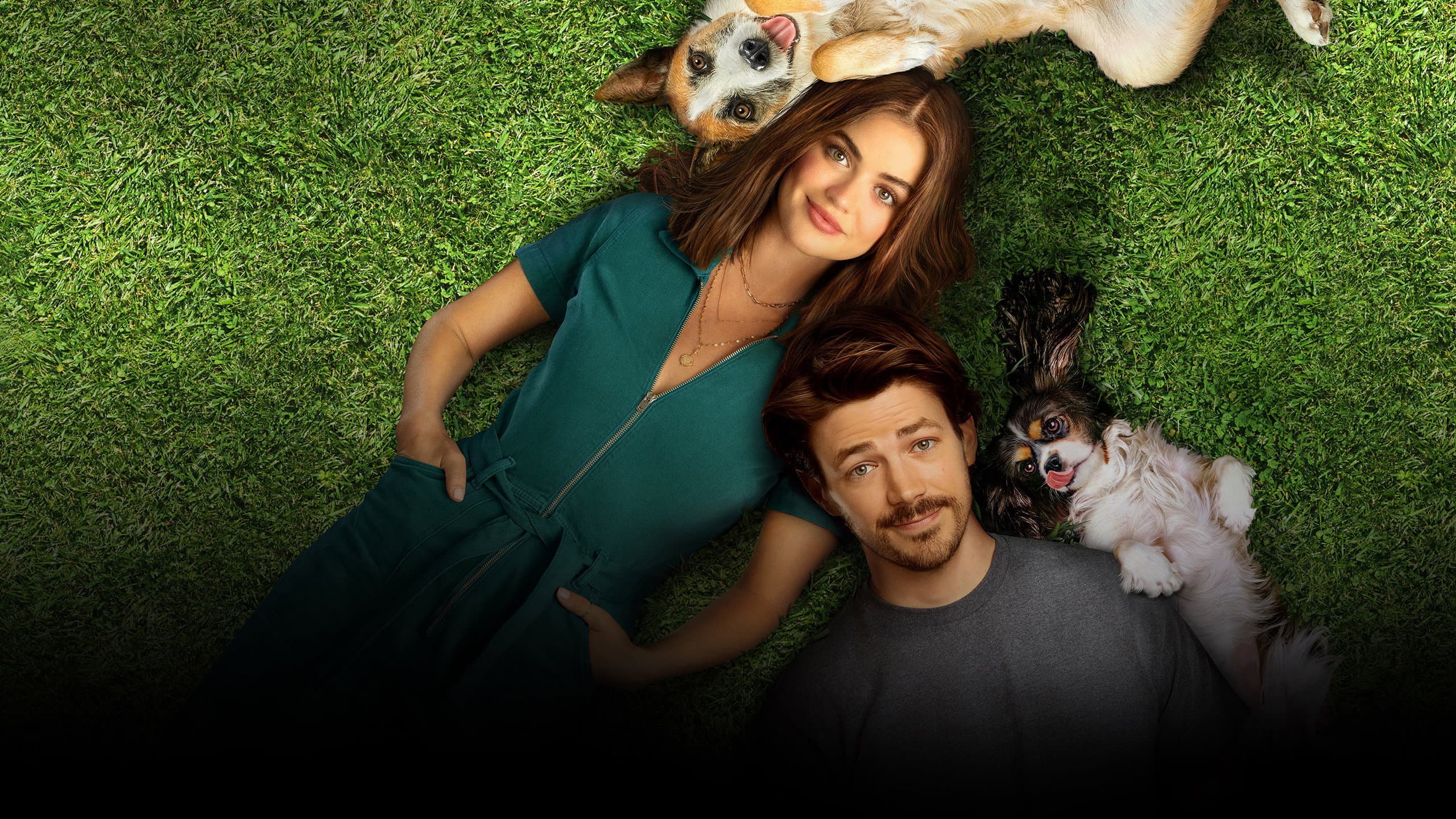 Una famiglia di cuccioli - immagine