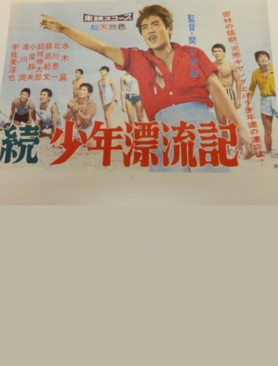 Poster di 続少年漂流記