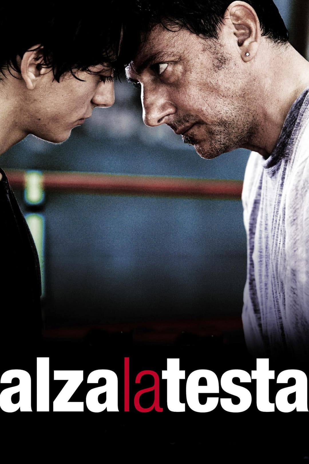 Poster di Alza la testa