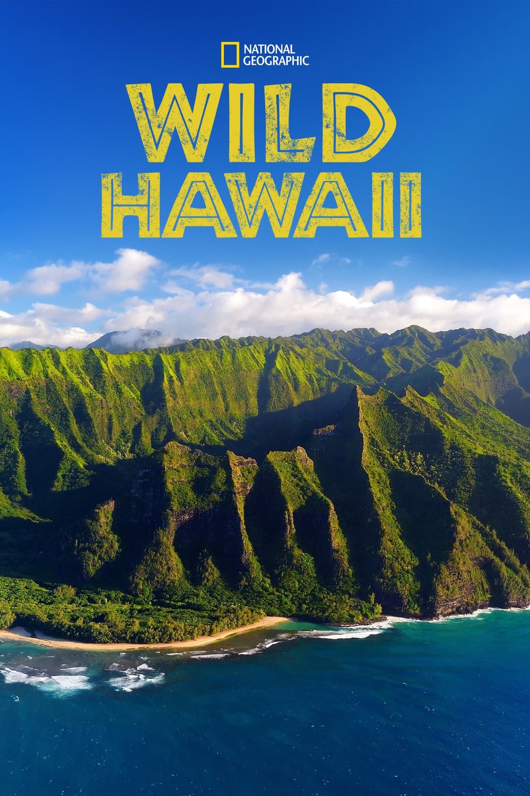 Poster di Wild Hawaii