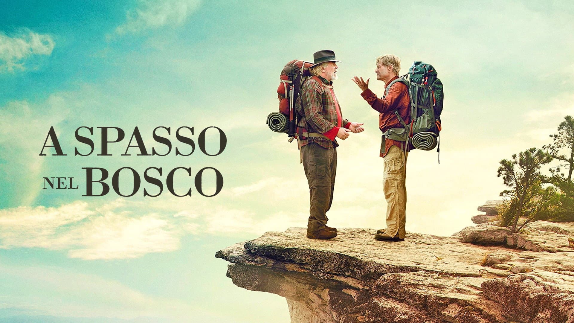 A spasso nel bosco - immagine
