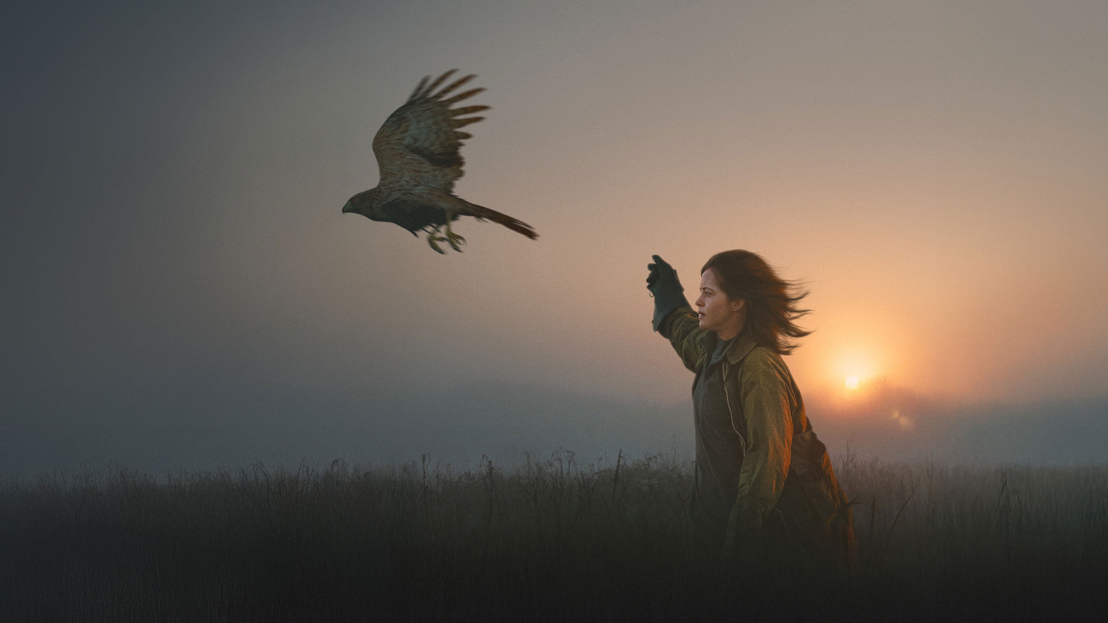 H Is for Hawk - immagine