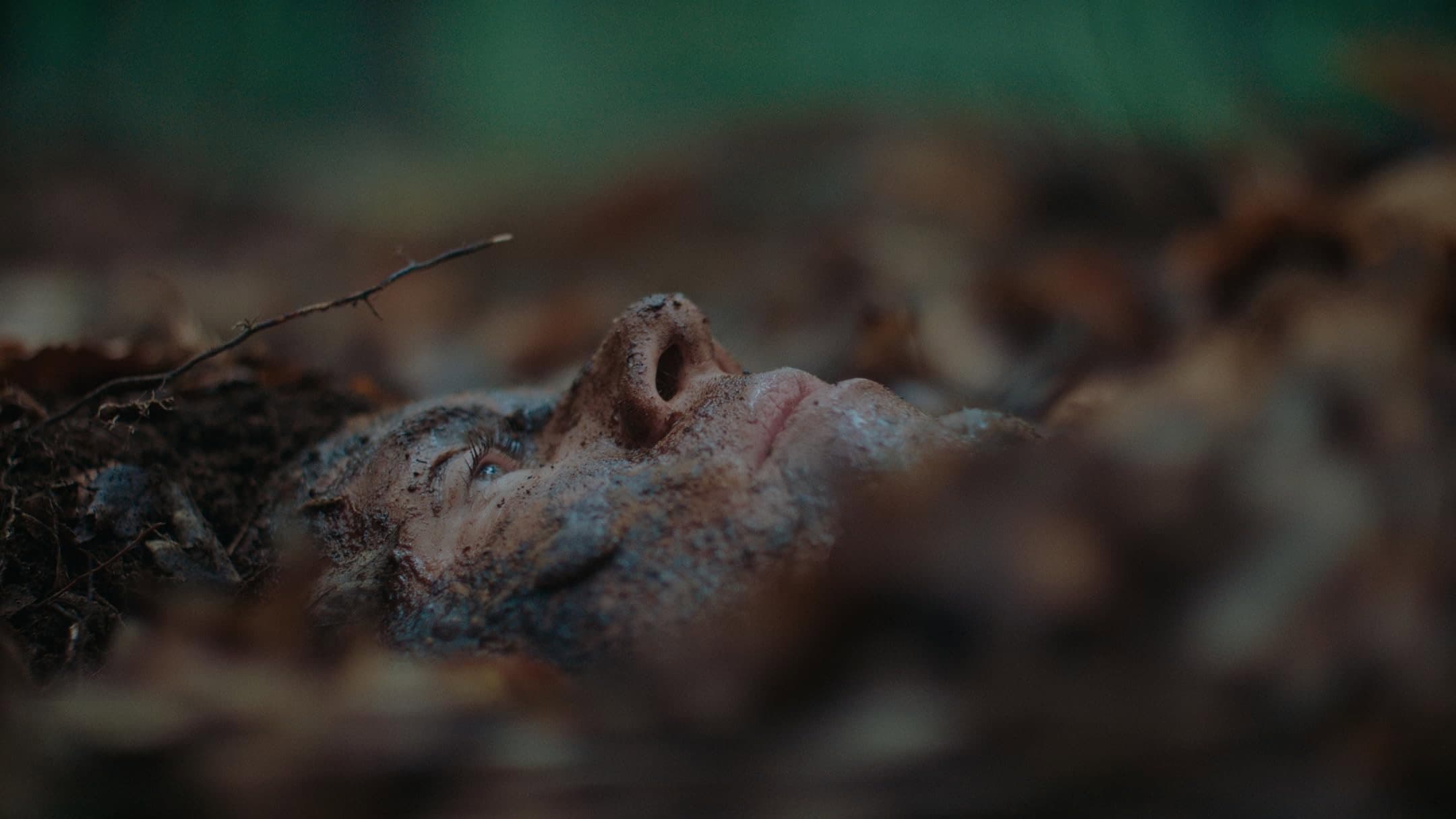 The Woods Are Real - immagine
