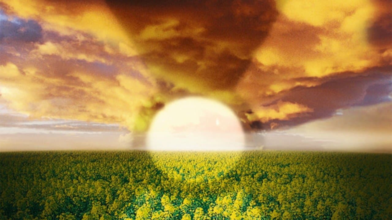 Die Wolke - immagine