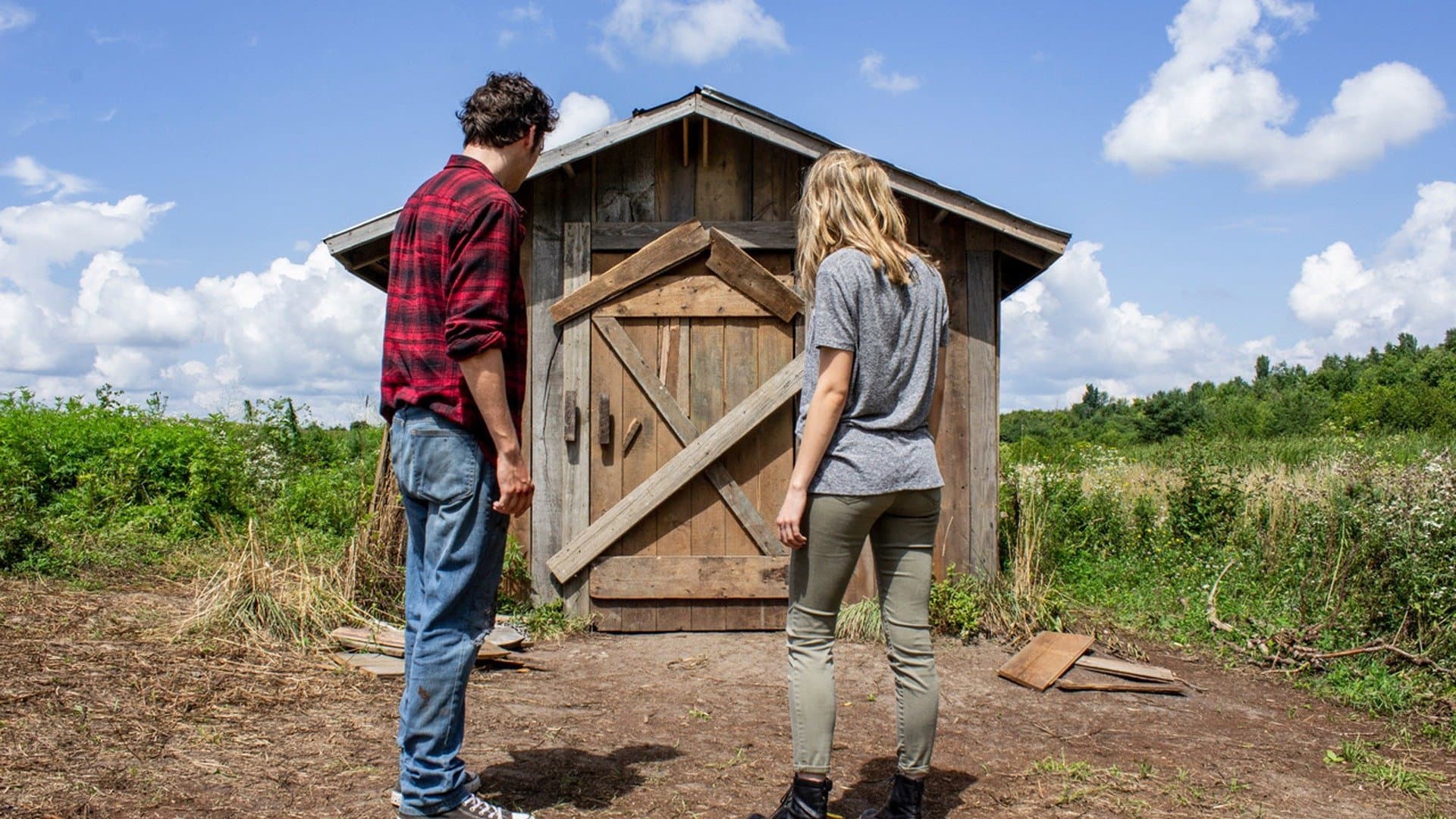 The Shed - immagine