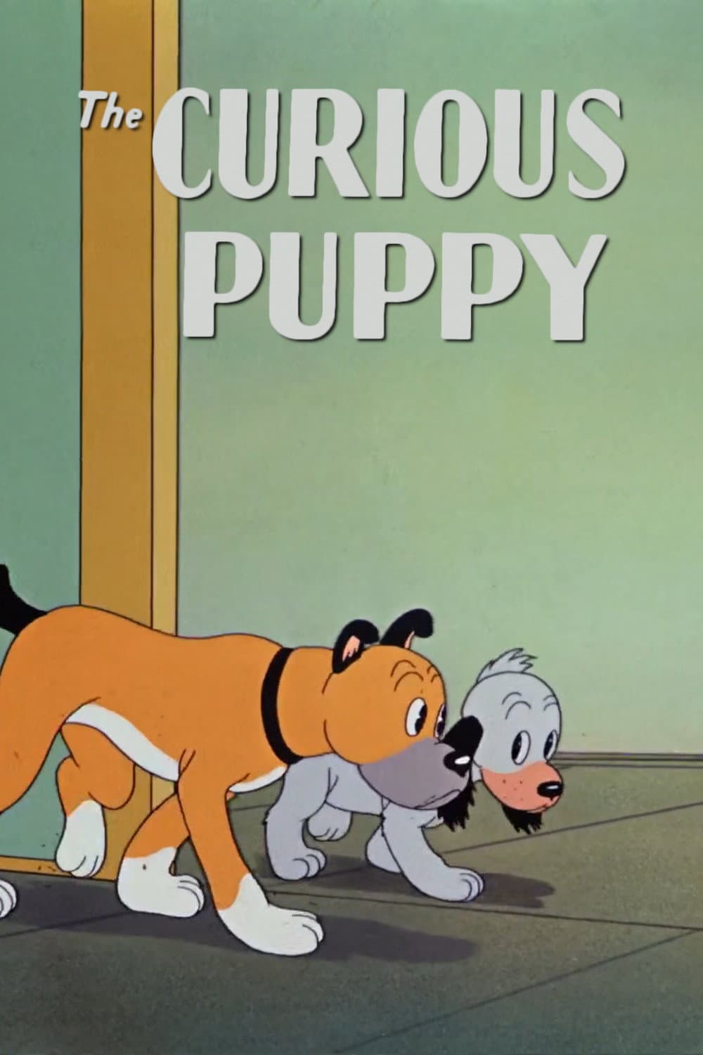 Poster di Il cucciolo curioso