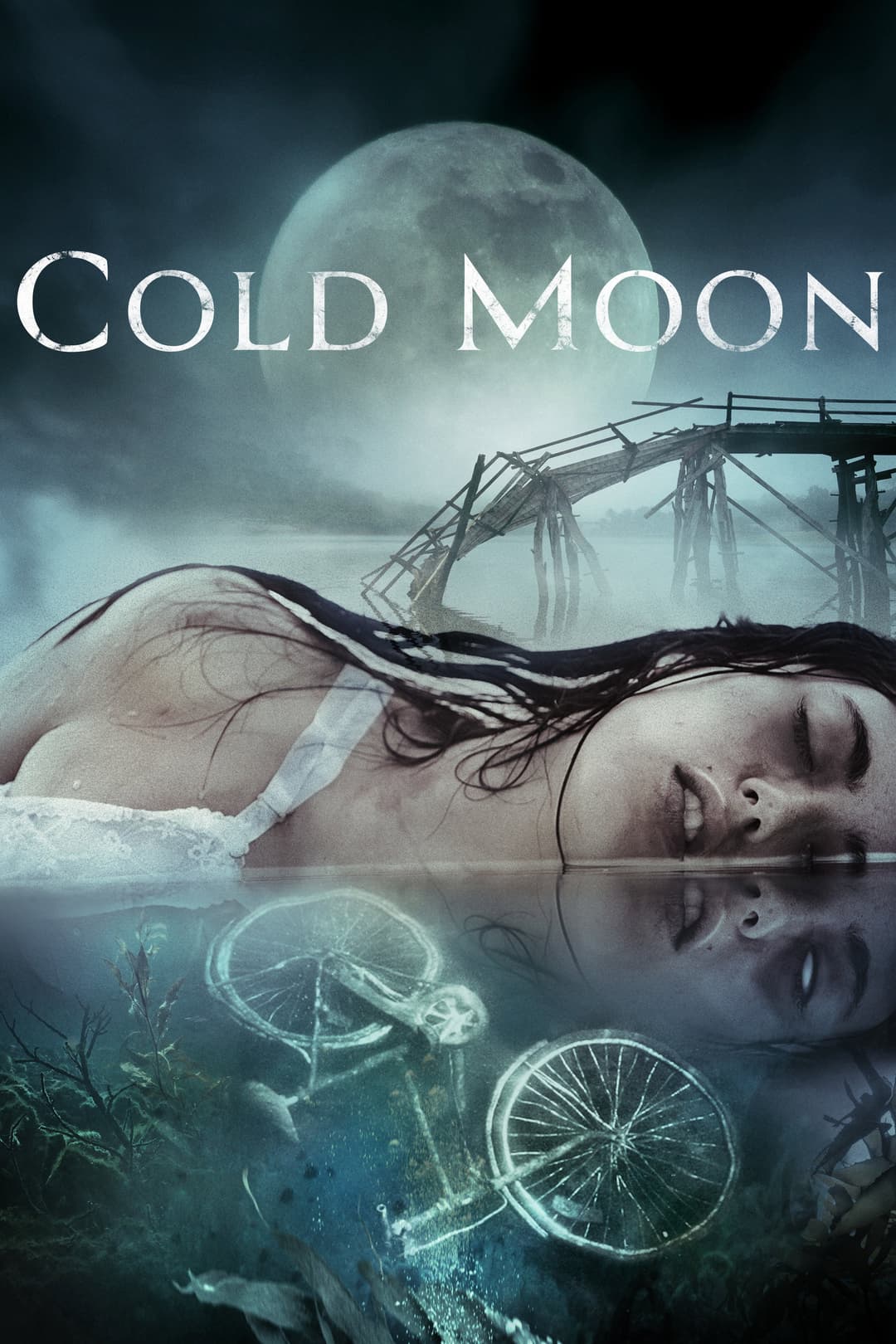 Poster di Cold Moon