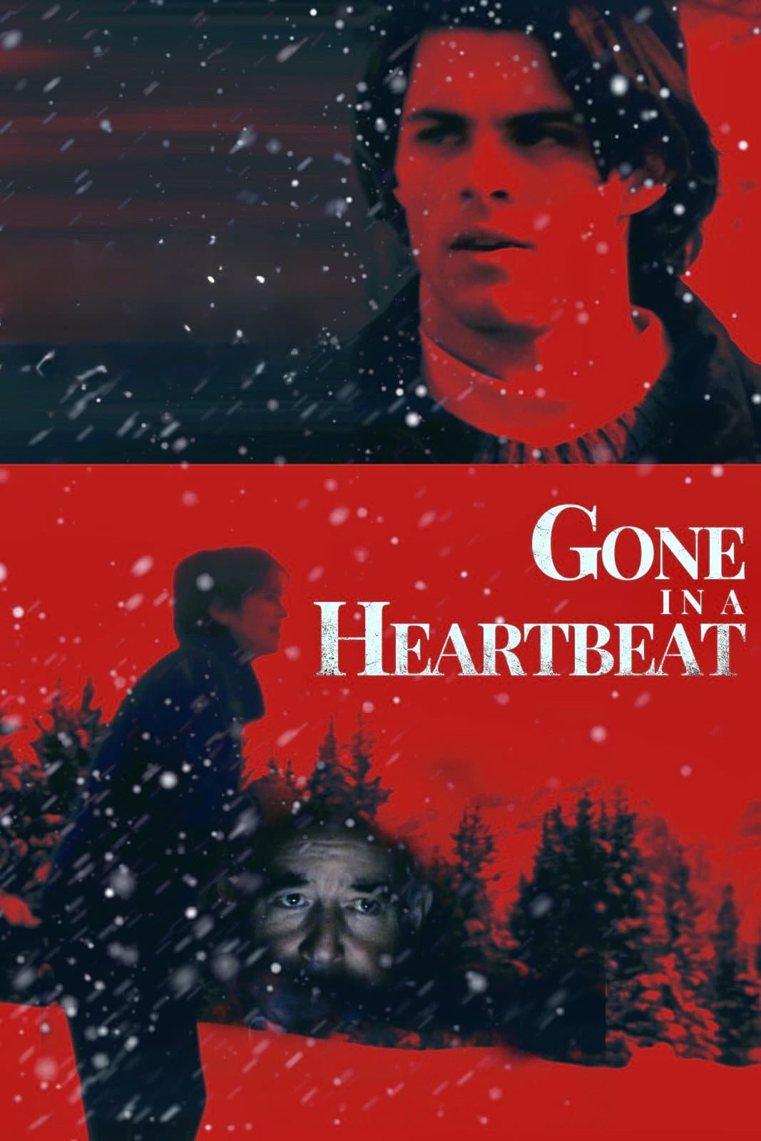 Poster di Gone in a Heartbeat