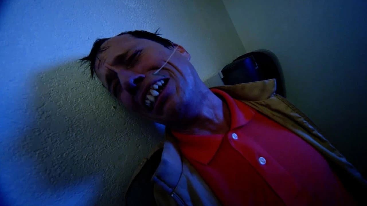 Rottentail - immagine