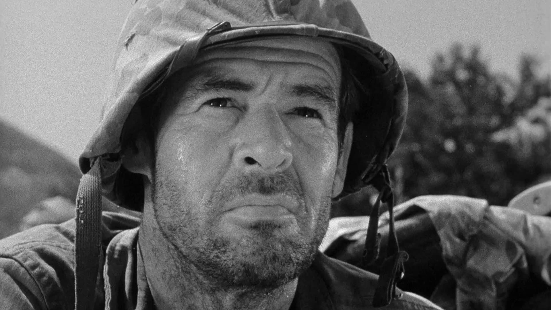 Uomini in guerra - immagine