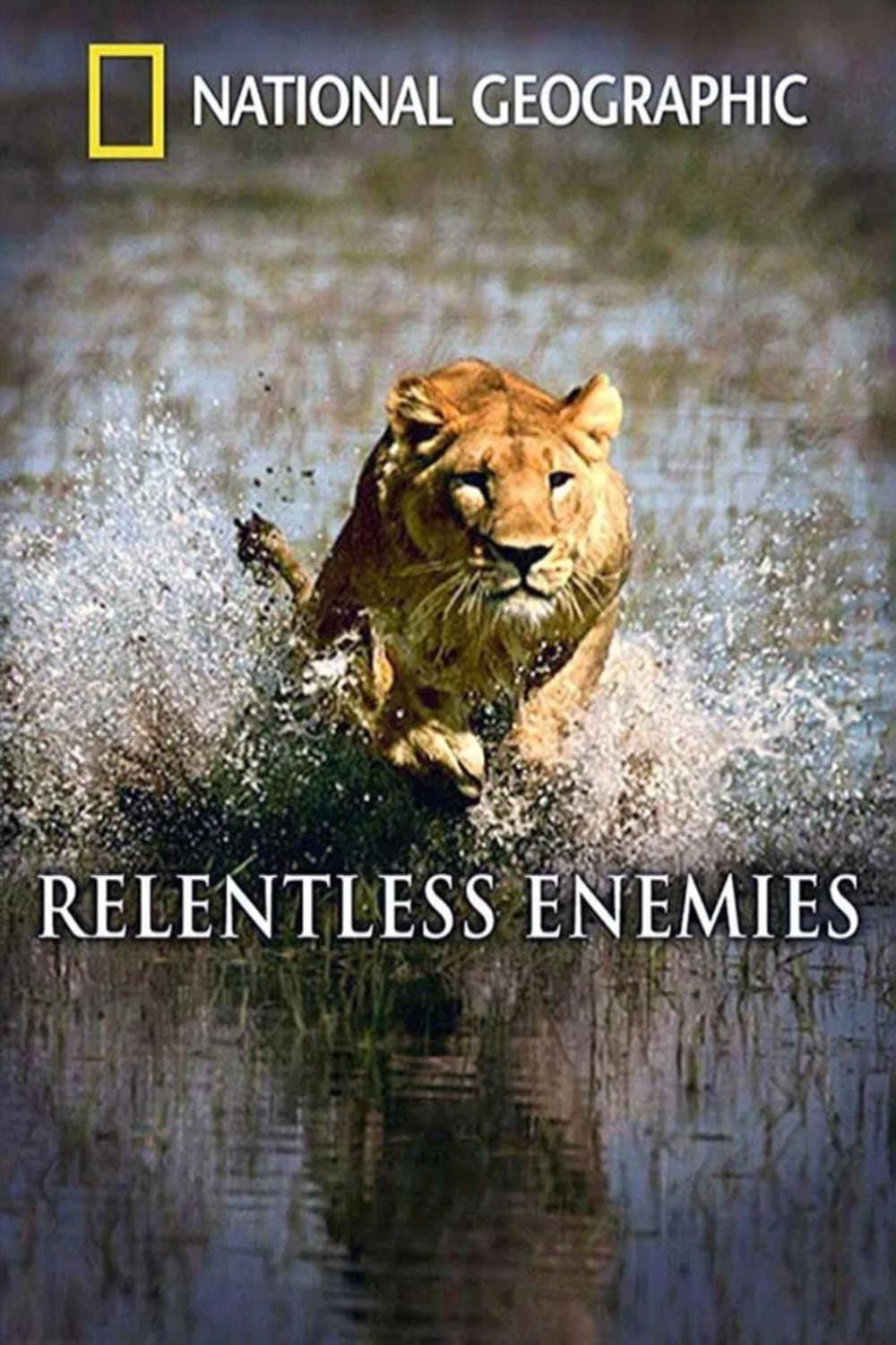 Poster di Relentless Enemies: Lions and Buffalo