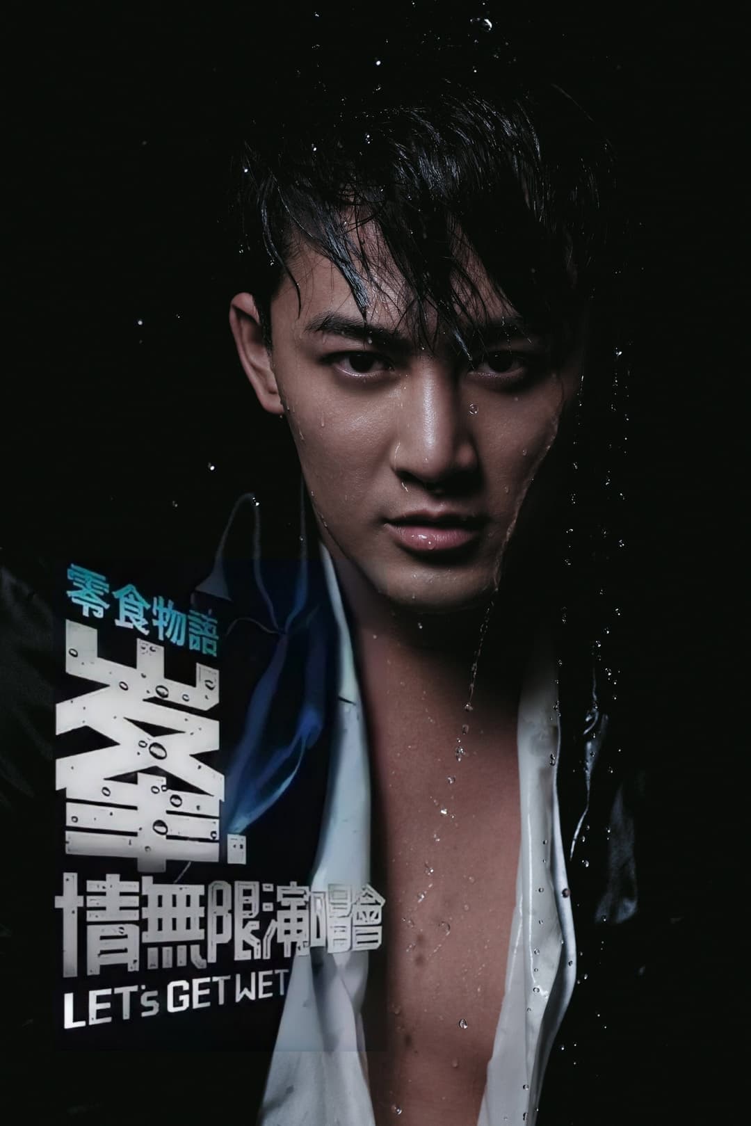 Poster di 林峰2009峯·情无限香港演唱会