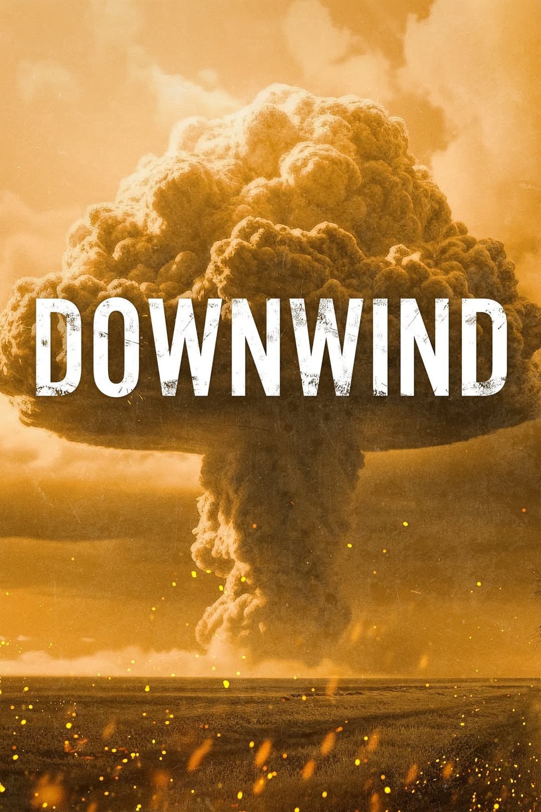 Poster di Downwind