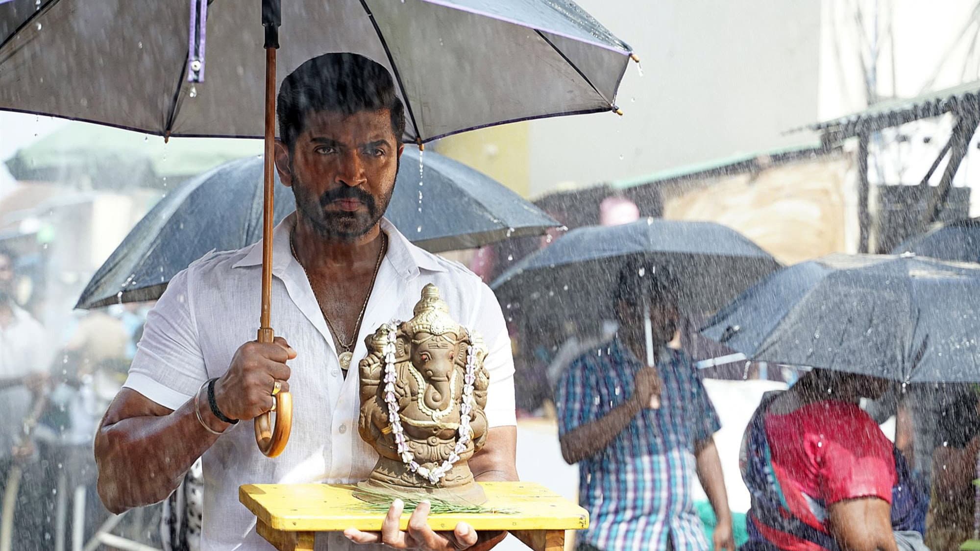 யானை - immagine
