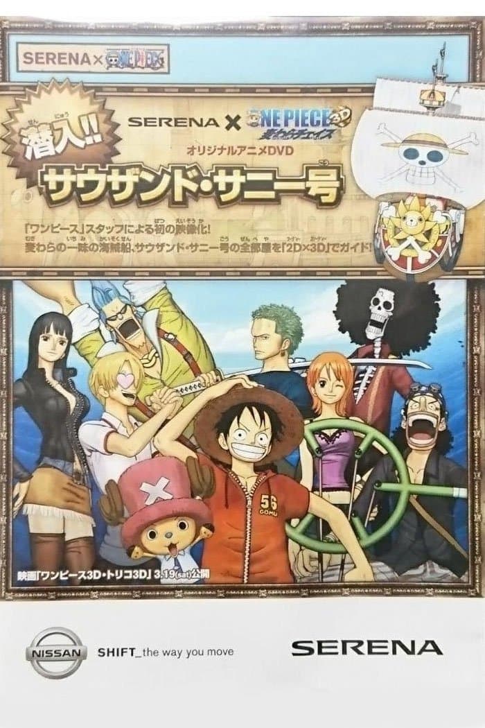Poster di SERENA×ONE PIECE 潜入!!サウザンド・サニー号