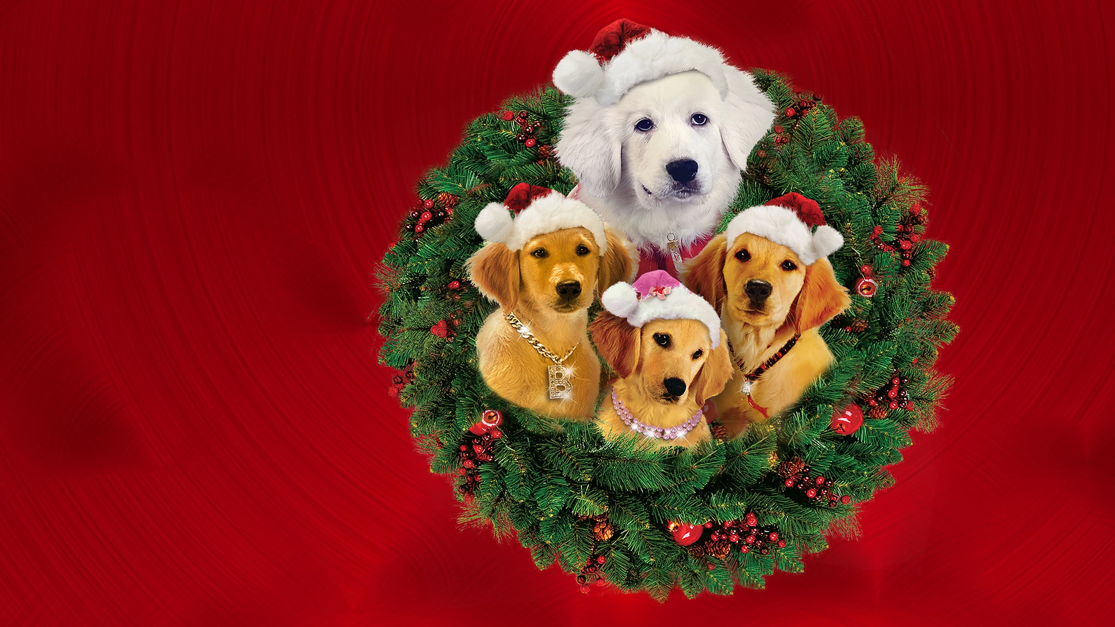 Supercuccioli a Natale - immagine