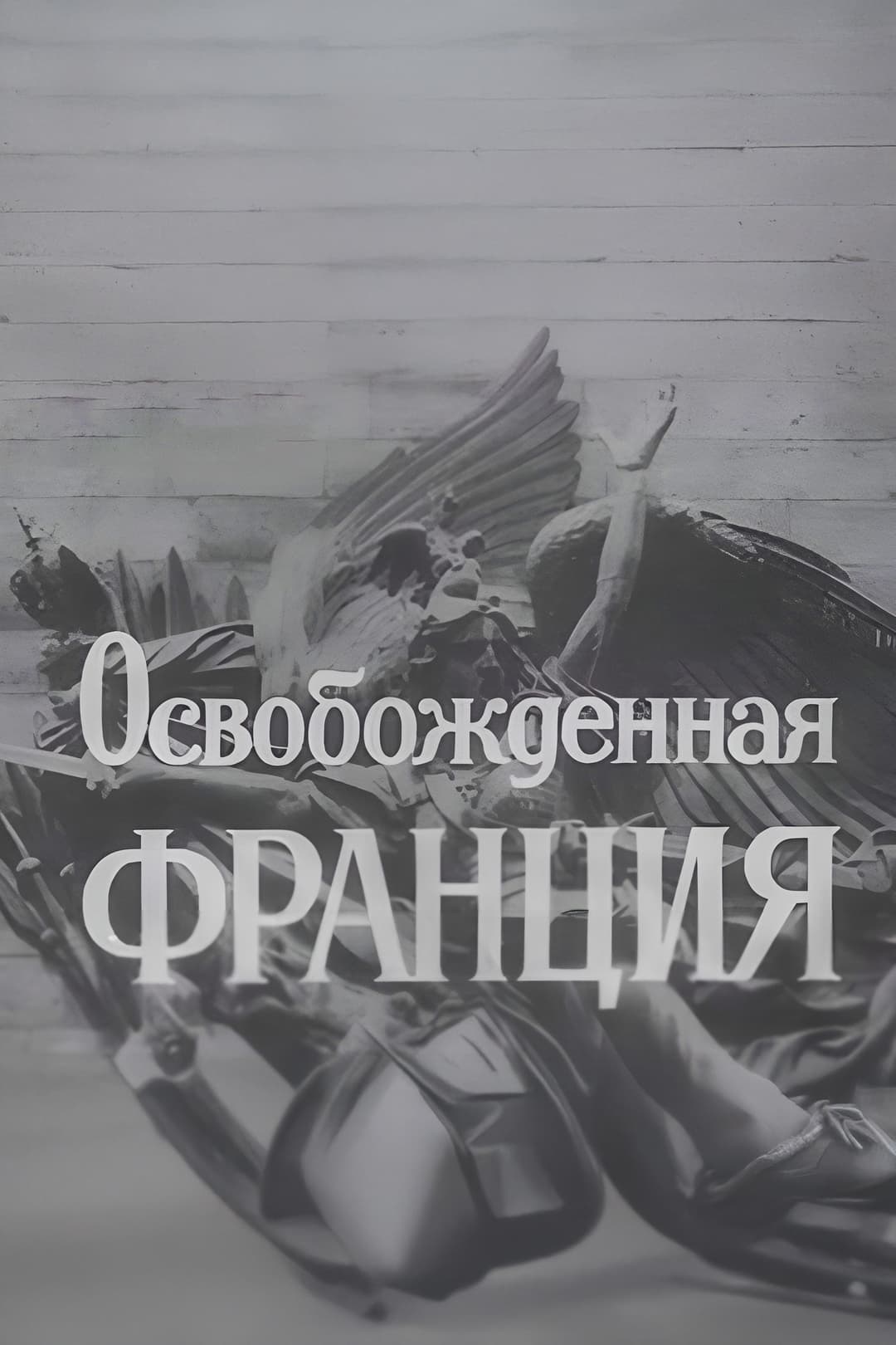 Poster di Освобождённая Франция