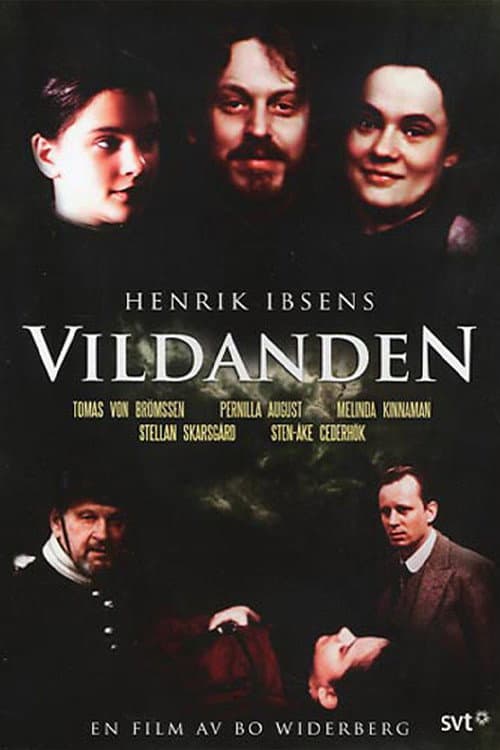 Poster di Vildanden