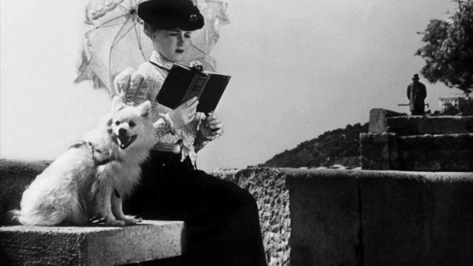 La signora dal cagnolino - immagine