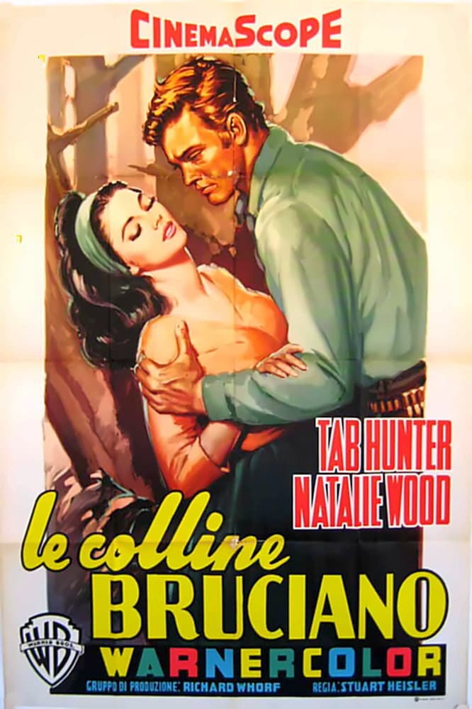 Poster di Le colline bruciano
