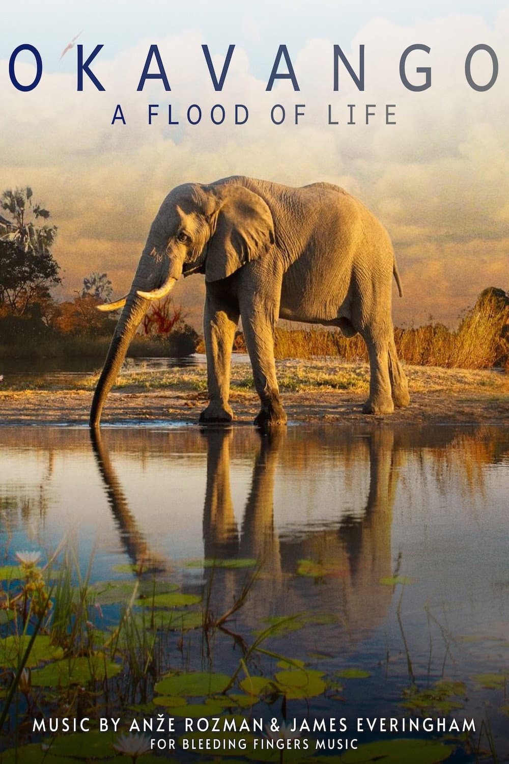 Poster di Okavango: A Flood of Life