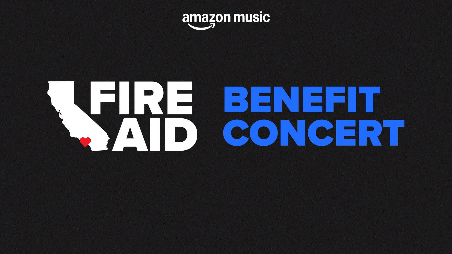 FireAid Benefit Concert - immagine