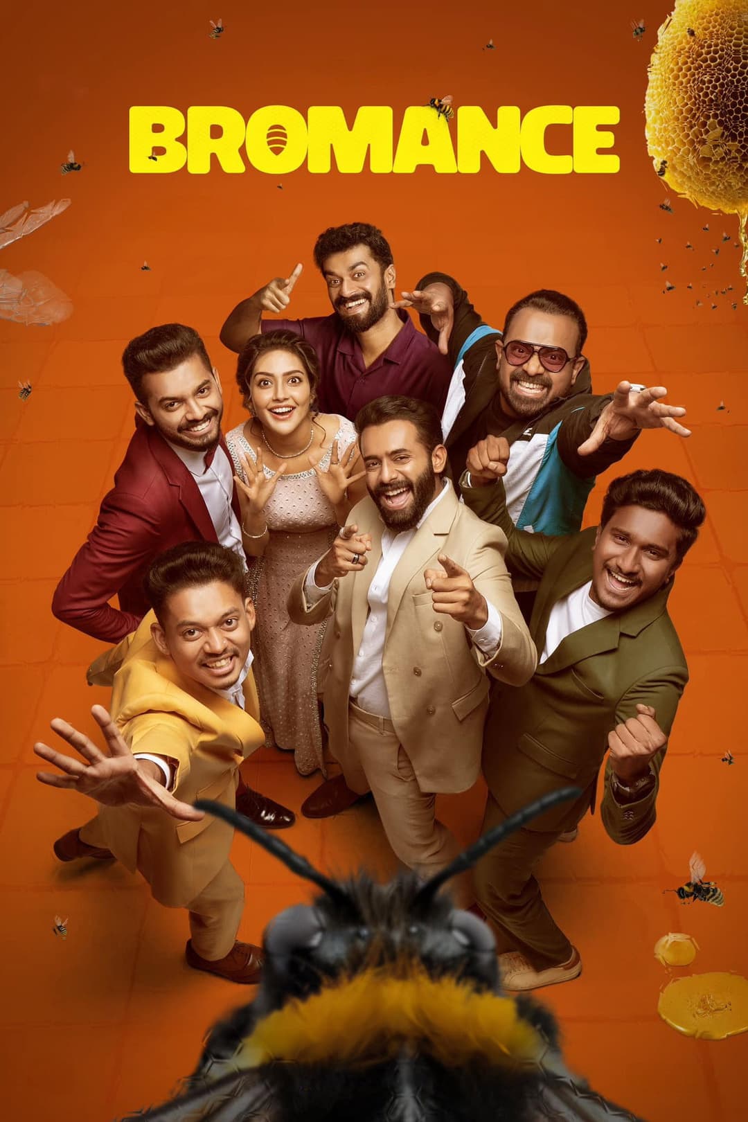 Poster di ബ്രോമാൻസ്
