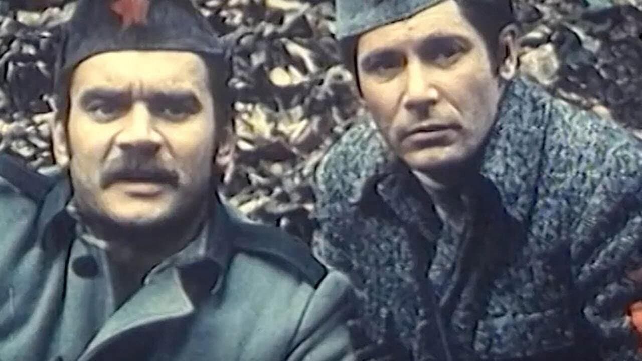 U gori raste zelen bor - immagine