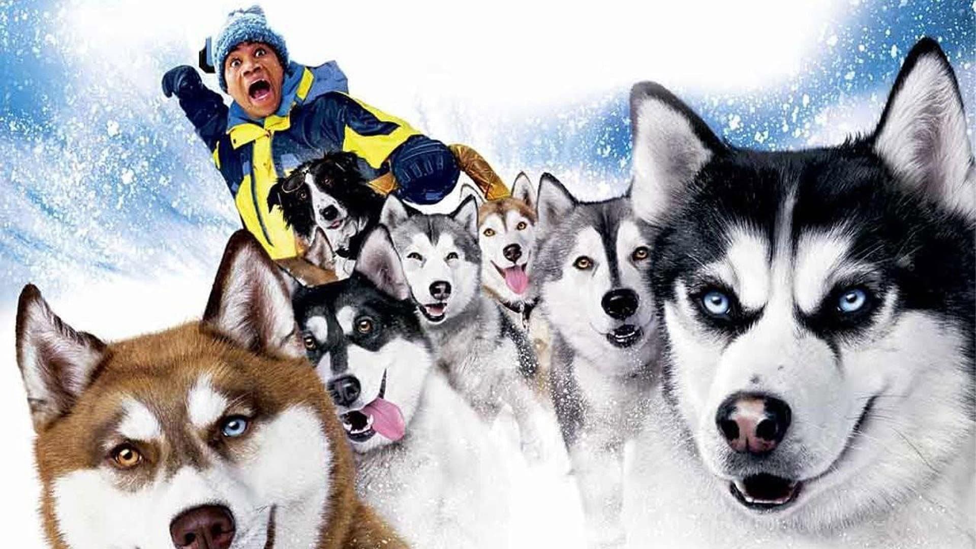 Snow Dogs - 8 cani sotto zero - immagine