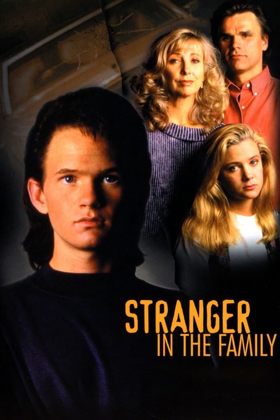 Poster di Stranger in the Family
