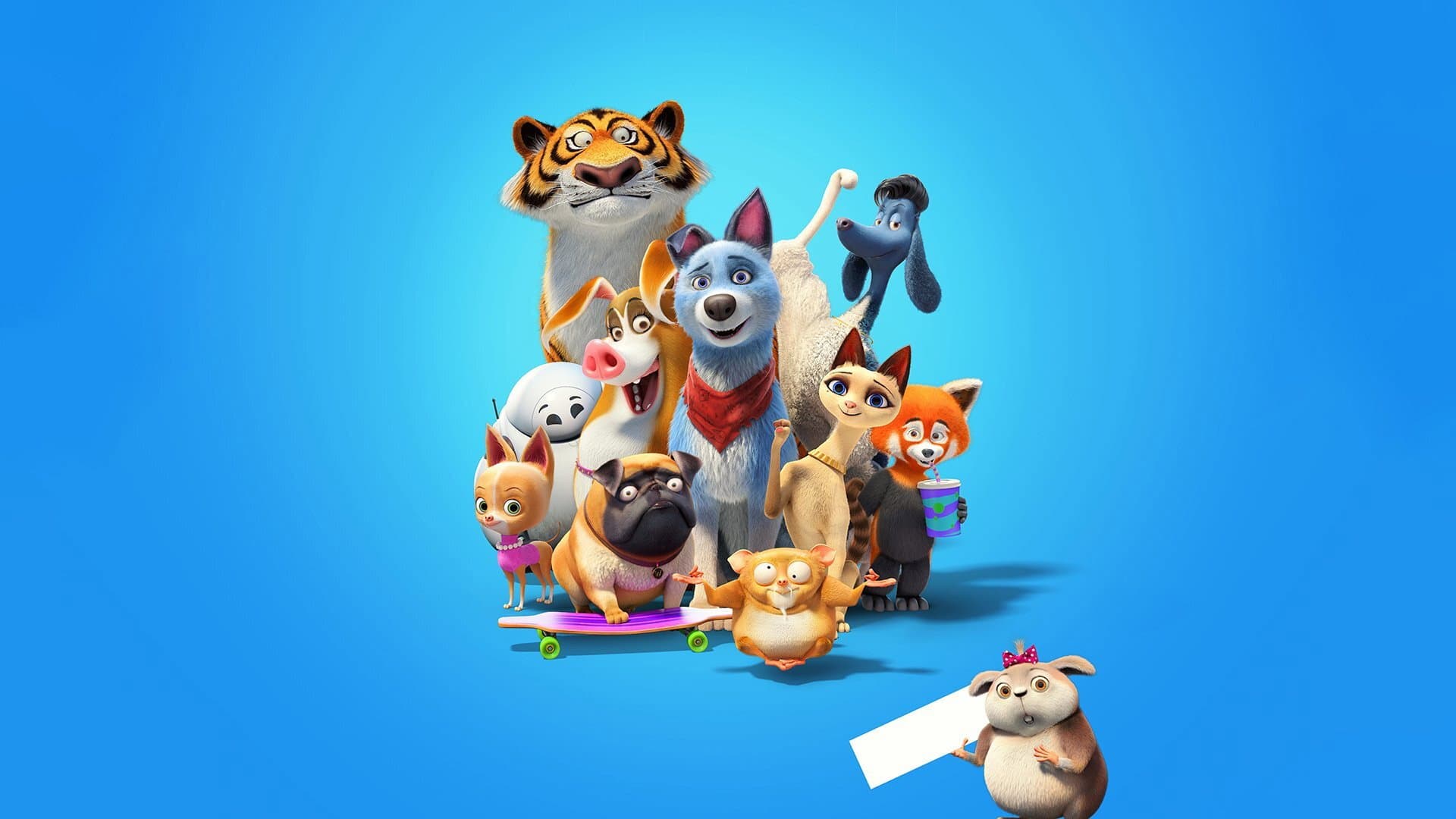 Pets United - immagine