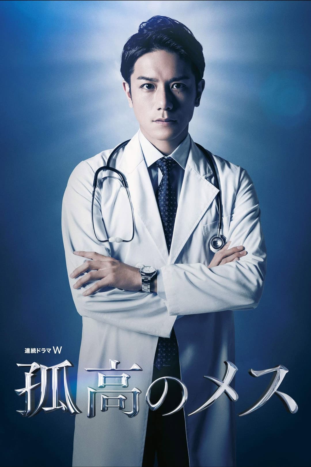 Poster di 孤高のメス
