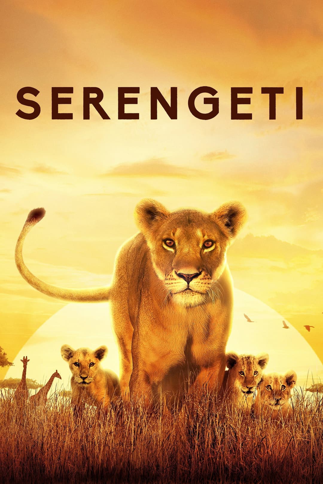 Poster di Serengeti