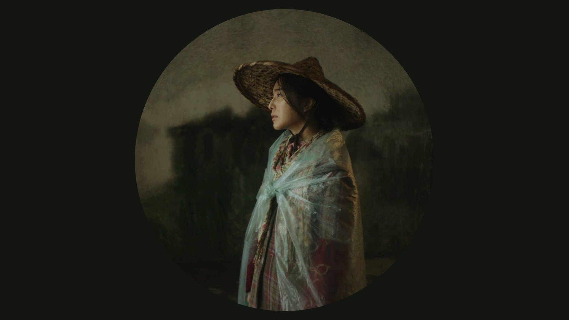 I Am Not Madame Bovary - immagine