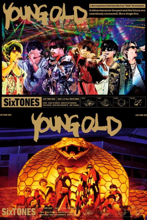Poster di YOUNG OLD