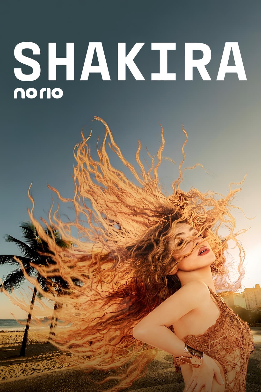 Poster di Todo Mundo no Rio com Shakira