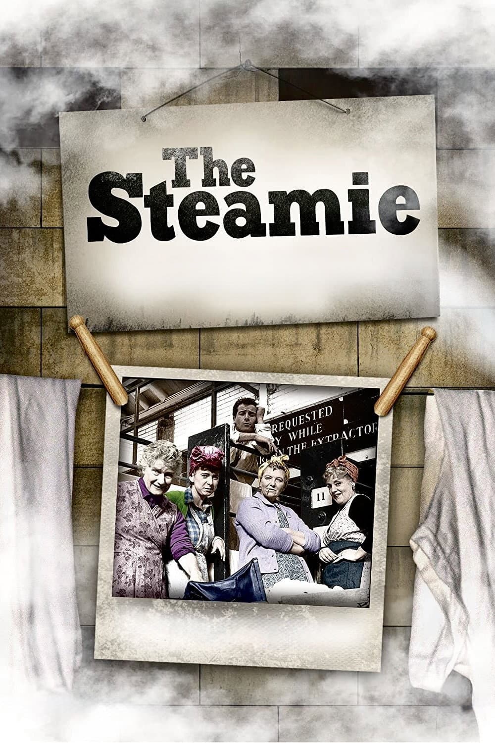 Poster di The Steamie
