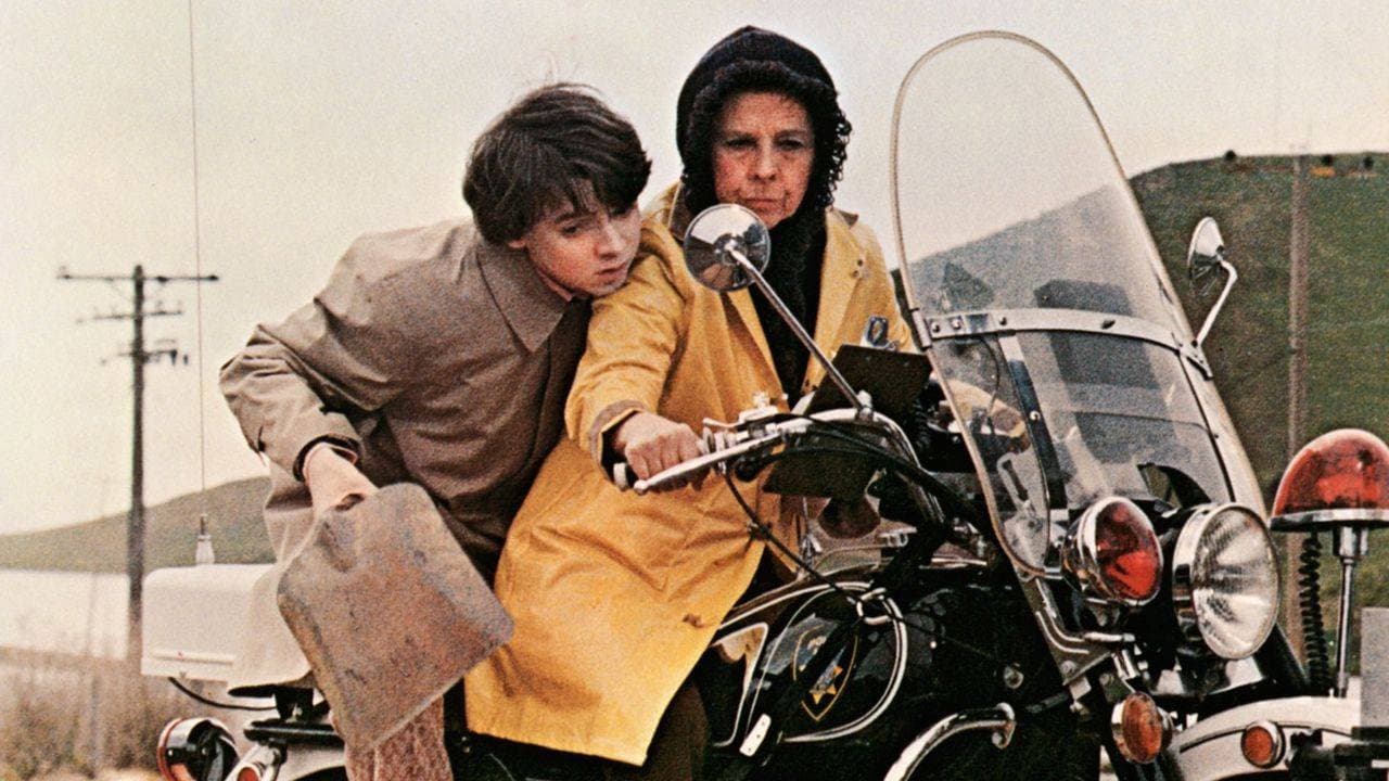 Harold e Maude - immagine