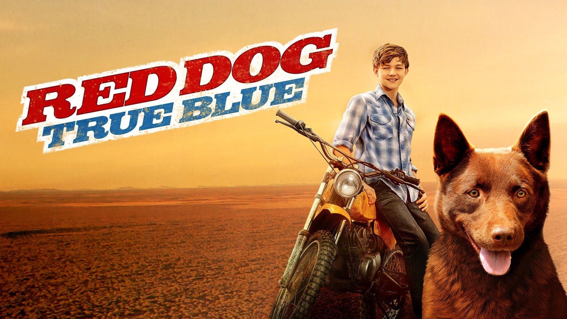 Red Dog: L'inizio - immagine