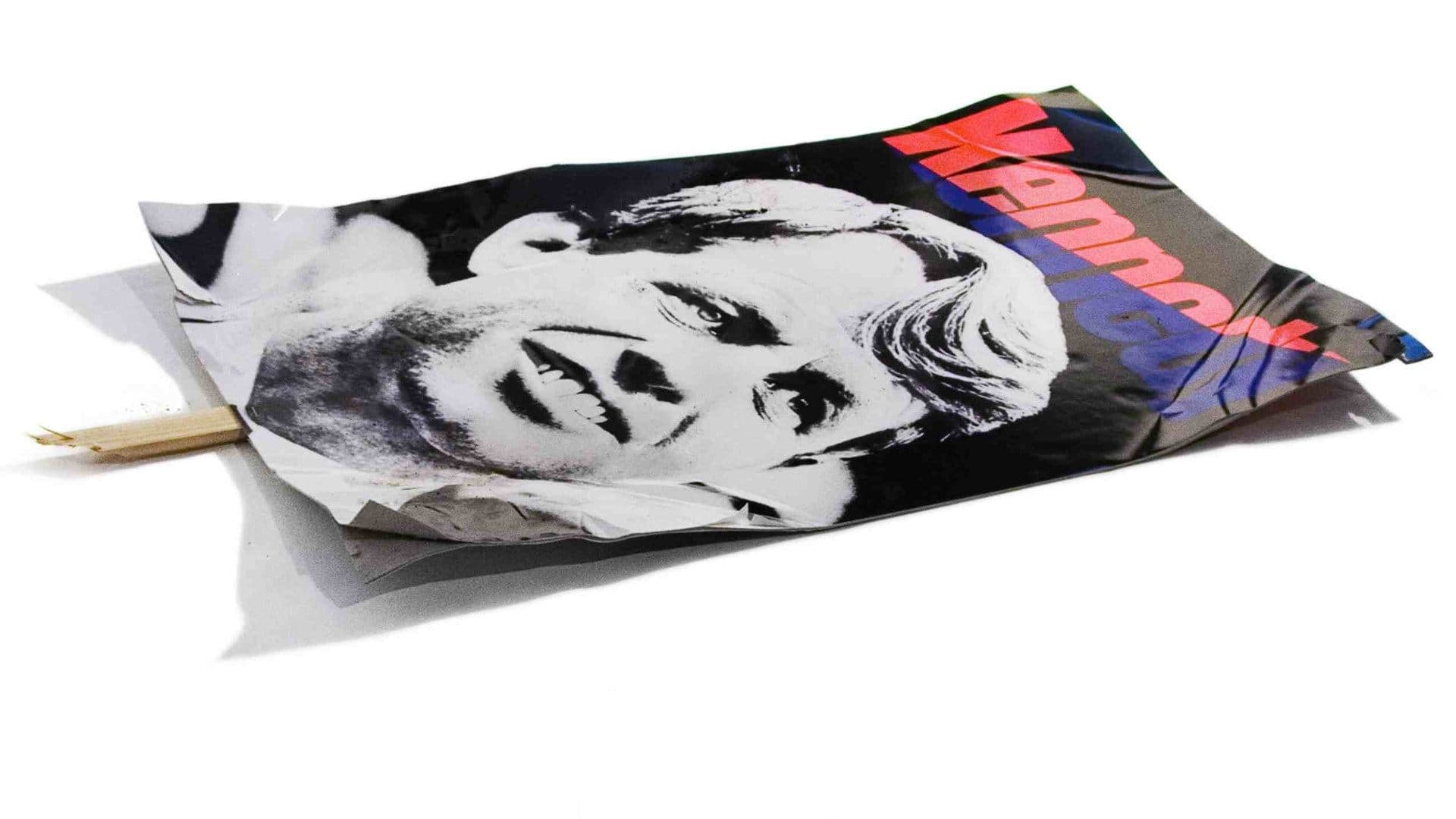 Bobby - immagine