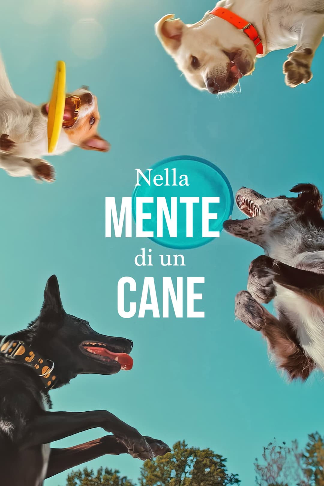 Poster di Nella mente di un cane