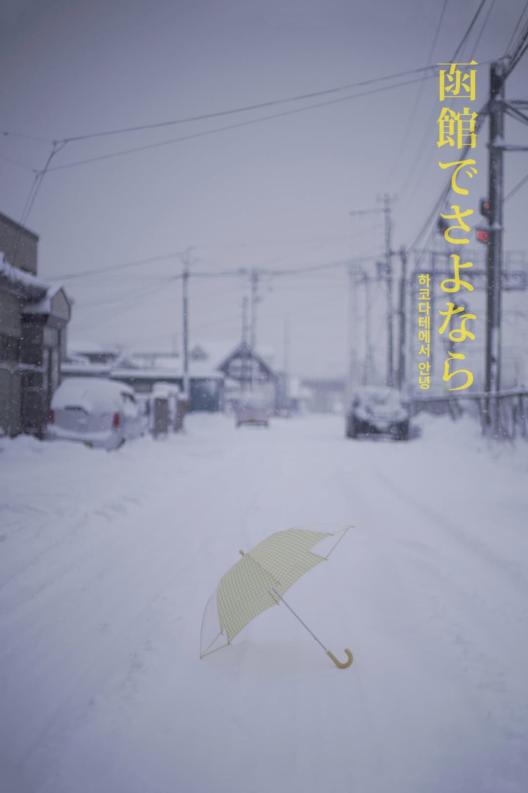 Poster di 하코다테에서 안녕
