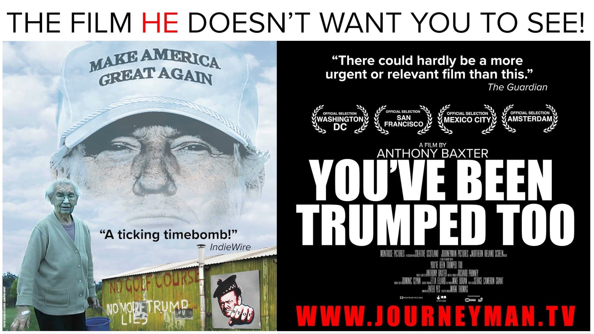 You've Been Trumped Too - immagine