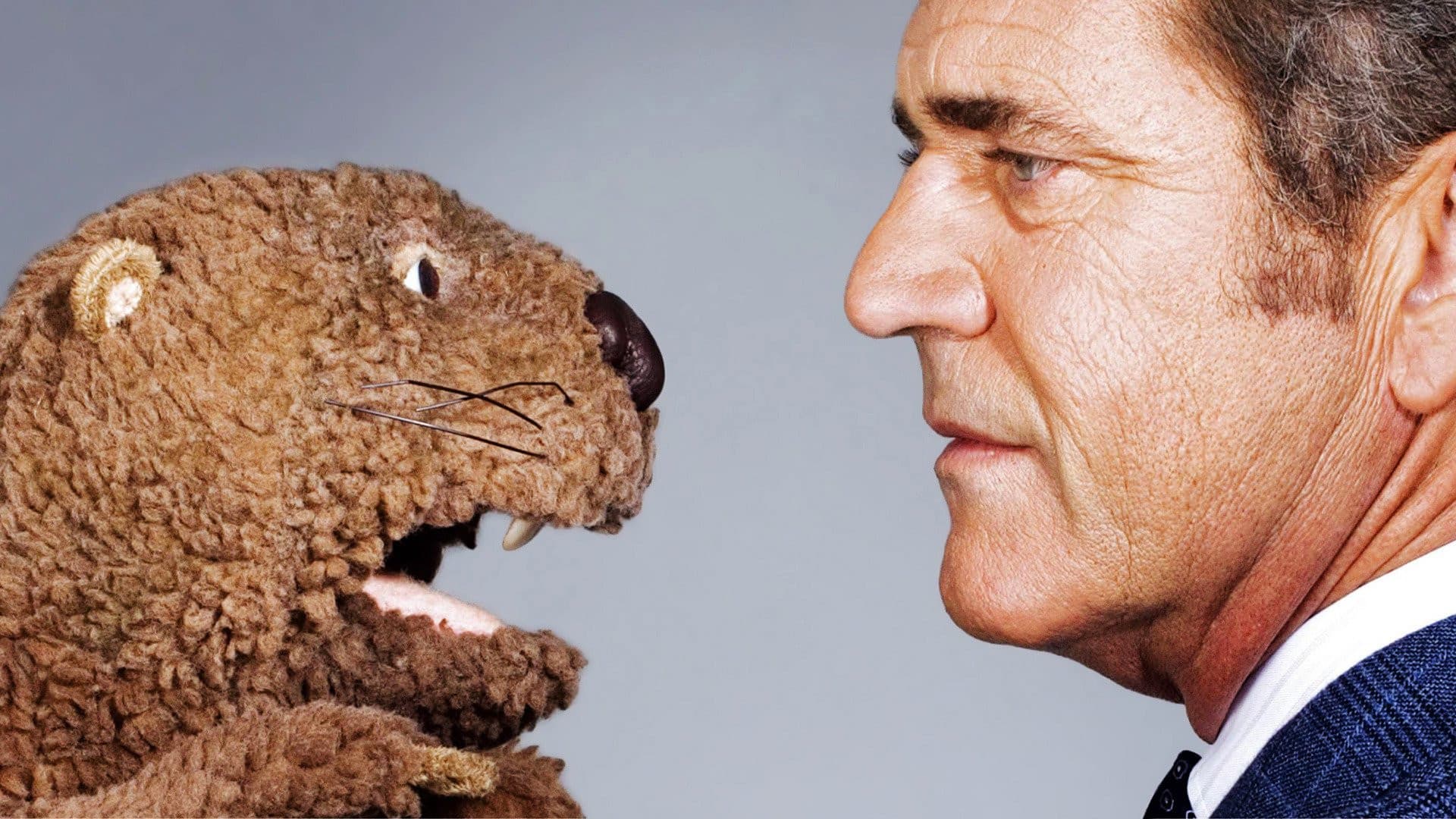 Mr. Beaver - immagine